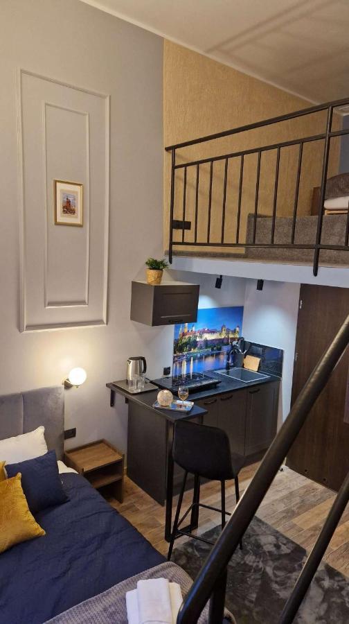 Amazing Cracow Apartments 克拉科夫 外观 照片